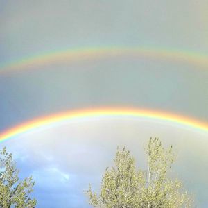 Meet your Posher, Betty